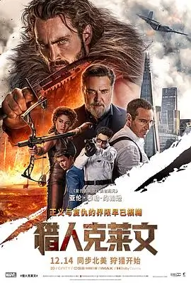 回声迷局 犯罪电影海报